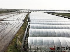 <b>海丰以加工休闲农业为着力点推进“三农”发展</b>