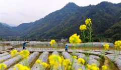 <b>二月二 春耕忙</b>