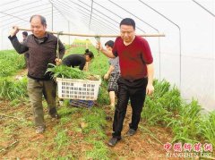 <b>“风险我担当，大家一起富”</b>