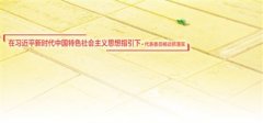 <b>推动乡村振兴 人大代表:大力实施“能人治村”</b>