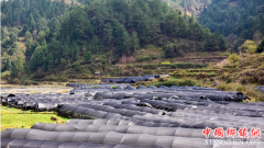 <b>贵州从江：发展中药材种植助脱贫</b>