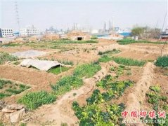 <b>西安：建章宫遗址汉神明台成菜地</b>