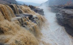 <b>壶口瀑布迎来“桃花汛”</b>