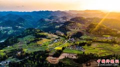 <b>泸州古蔺：乡村振兴保脱贫 产业发展春意浓</b>