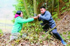 <b>重庆明月山：一座“孤山”孕育的生命奇迹</b>