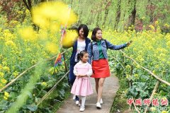 <b>花香游人醉</b>