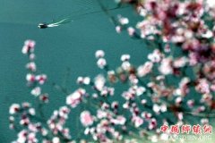 <b>踏春赏景正当时</b>