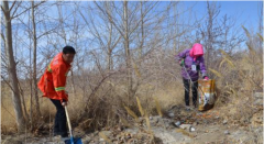 <b>青海格尔木“生态+扶贫”模式助贫困群众脱贫致富</b>