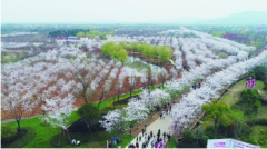 <b>美丽花海 美了乡村醉了游客富了农民</b>