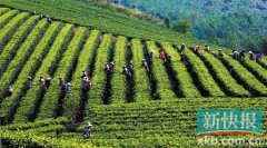 <b>清明假期的打开方式 民俗体验之旅</b>