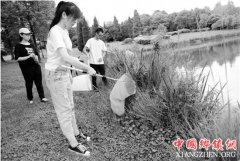 <b>高校60名学生两个星期 去野外抓一万只昆虫</b>