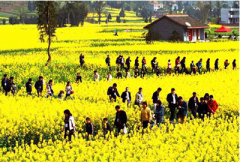 <b>杭州建德：拥抱乡村振兴</b>