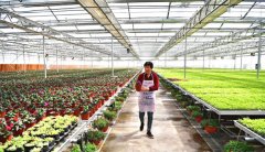 <b>都市农业让农民成为“上班族”</b>