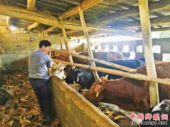 <b>贫困户刘西建的“脱贫脱单梦”</b>