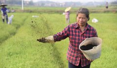 <b>贫困村里春耕忙</b>