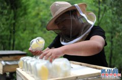 <b>陕西略阳：发展养蜂产业 助力脱贫攻坚</b>