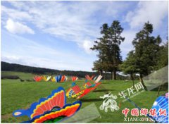 <b>重庆仙女山风筝主题乐园五一开幕 放风筝去吧！</b>