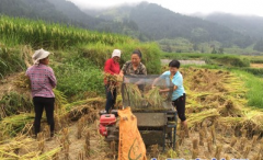 <b>安徽省推进“千企帮千村”精准扶贫行动 攻克深度贫困</b>