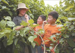 <b>五一假期江苏周边游火爆 生态游文化游成热门</b>