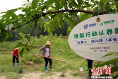 <b>江西老区山村扶贫见闻：碧桃千树向阳开（图）</b>