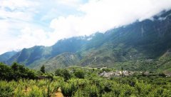 <b>四川汶川：南林北果 绿了大山富了百姓</b>