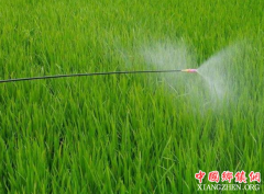 <b>农业农村部召开《农药管理条例》贯彻落实调度推进会</b>