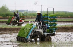 <b>驾驭着农机“神器”走四方的“新农人”</b>