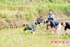 <b>“村官”张雪的三种幸福</b>