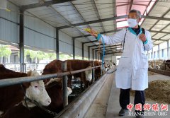 <b>山东阳信：现代合作养殖助力精准扶贫</b>