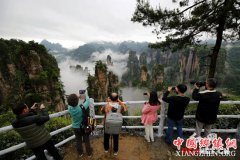 <b>张家界武陵源：雨后云海绕峰间</b>