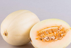 <b>黑龙江：大庆市让区棚室香瓜陆续上市</b>