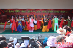 <b>甘肃临泽县平川镇：村里来了文艺演出队</b>