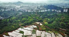 <b>南充：开垦梯田建产业 美丽乡村景如画</b>