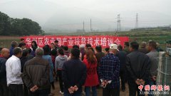 <b>陕西：华州区杏林镇开展金银花种植技能培训</b>