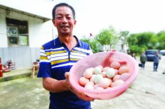 <b>南京市脱贫攻坚取得阶段性成效</b>