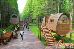 <b>江苏黄海国家森林公园美如画</b>