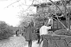 <b>城郊乡村游，如何找出路？</b>