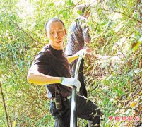 <b>袁孝辉：不当老板当支书 带领乡亲奔富路</b>