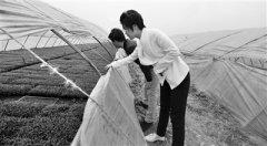 <b>沈阳村官吴书香：光环让我感受到责任和使命感</b>