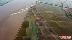 <b>宁夏：黄河两岸 稻田如画</b>