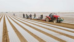 <b>河北：张家口初夏时节播种忙</b>