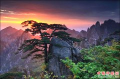 <b>盘点五月黄山看点：不可错过的人间美景(图)</b>