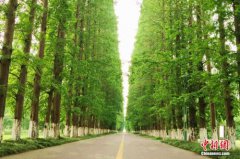 <b>江苏南通为保障水环境一年关停138家化工厂</b>