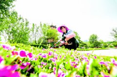 <b>古镇新生活</b>