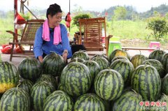 <b>贵州榕江：西瓜喜获丰收</b>