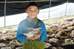 <b>昆明石林：特色产业助力精准扶贫</b>