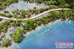 <b>初夏的九寨沟</b>