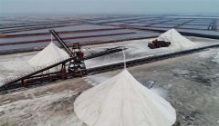 <b>河北：收获春盐</b>