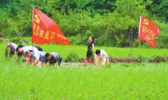 <b>“党员突击队”田野助耕</b>