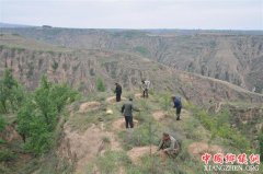 <b>自然资源部公布“家底”：去年净减少耕地6.09万公顷</b>